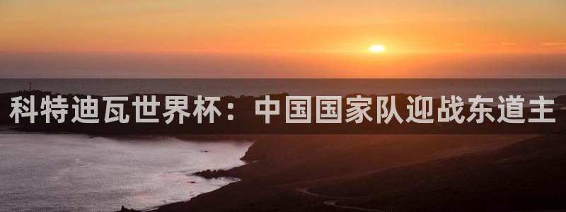 世界杯亚洲区预选赛积分榜:科特迪瓦世界杯:中国国家队迎战东道主