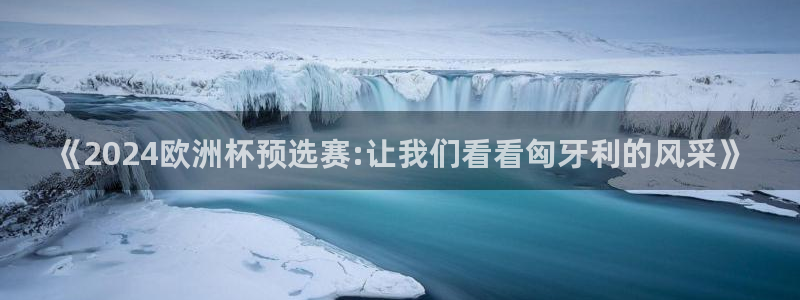 2026年世界杯对阵图:《2024欧洲杯预选赛:让我们看看匈牙利的风采》