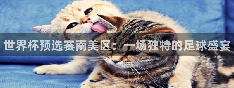 澳门世界杯直播:世界杯预选赛南美区:一场独特的足球盛宴