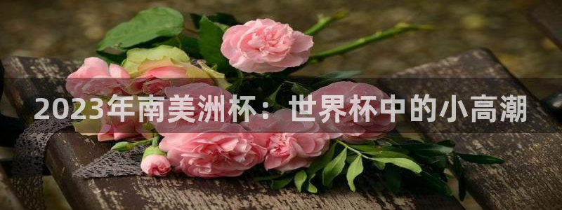 世界杯 2026:2023年南美洲杯:世界杯中的小高潮