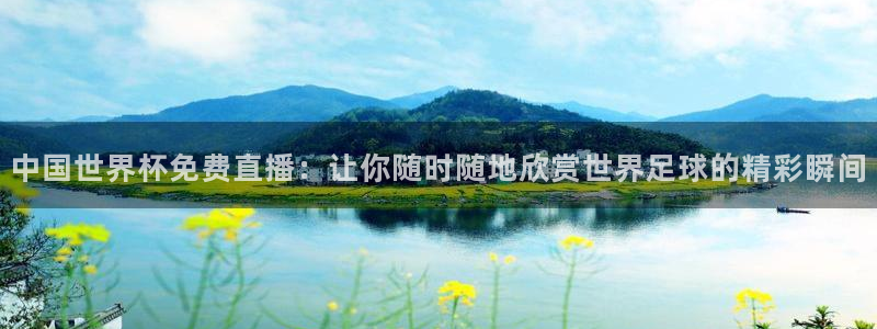 世界杯对阵图2026:中国世界杯免费直播:让你随时随地欣赏世界足球的精彩瞬间