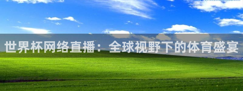 足球世界杯2026:世界杯网络直播:全球视野下的体育盛宴