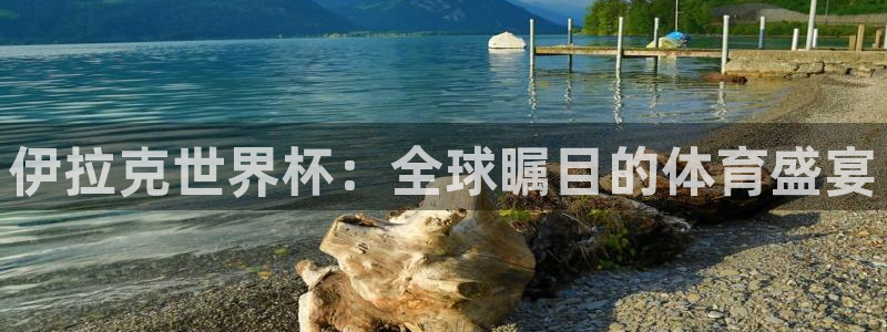世界杯直播观看:伊拉克世界杯:全球瞩目的体育盛宴