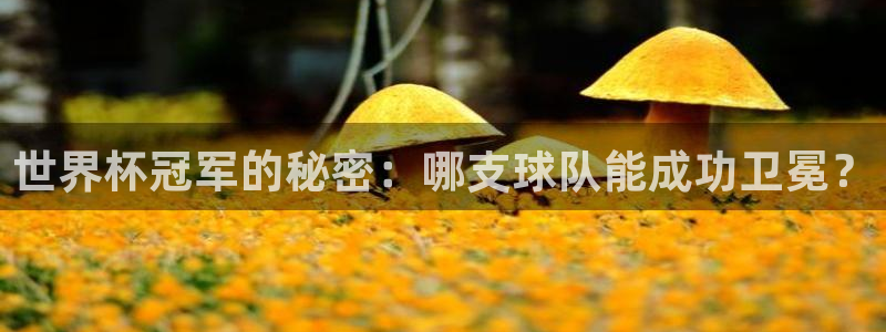 世预赛赛程表:世界杯冠军的秘密:哪支球队能成功卫冕?
